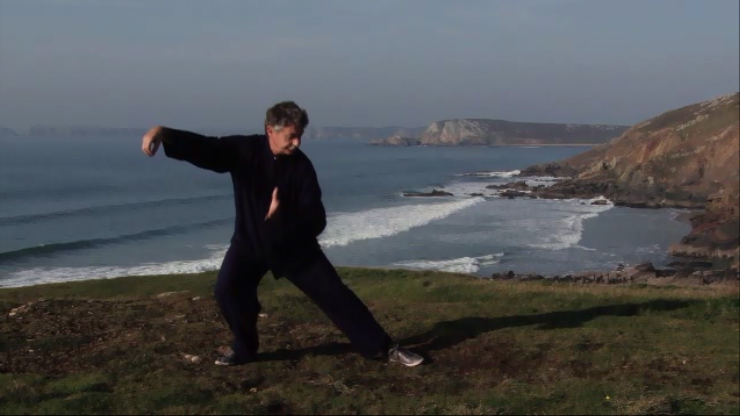 Mouvement Le Serpent qui rampe -Taichi 29